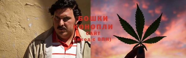 apvp Надым