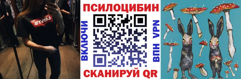 darknet клад  хочу   Рыбное  Псилоцибиновые грибы ЛСД 
