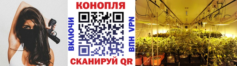 мориарти наркотические препараты  Рыбное  Канабис тримм 